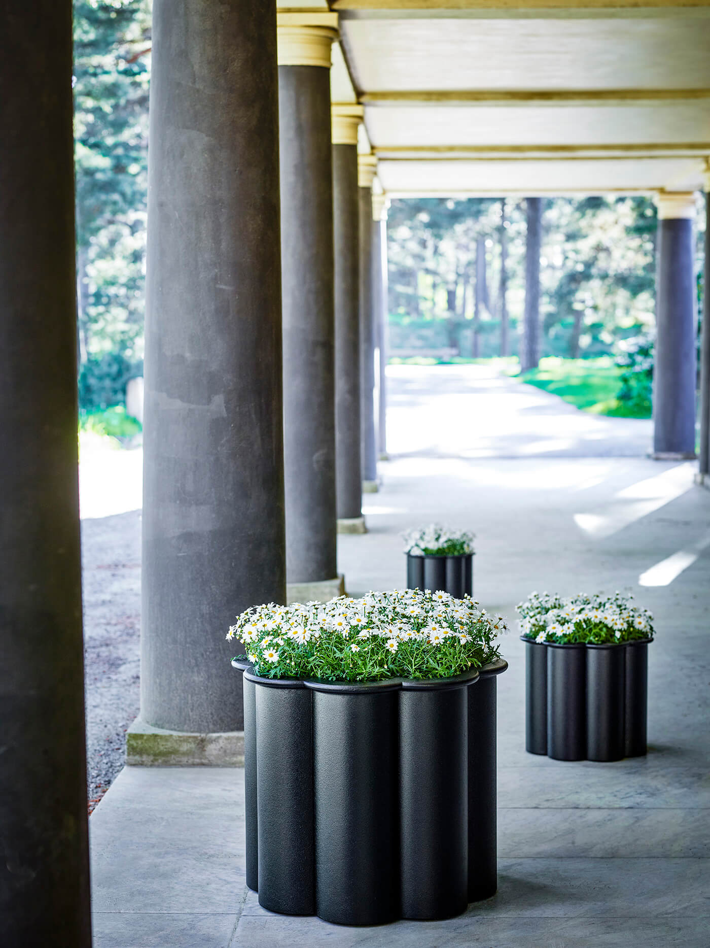 Black flower pots next to architectural pillars